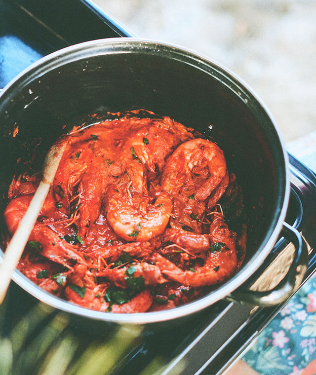 Cuisiner a la plancha toute l&
