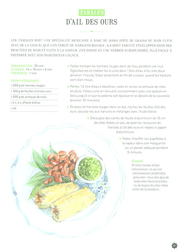 CUISINER LES PLANTES DE MONTAGNE (フランス)