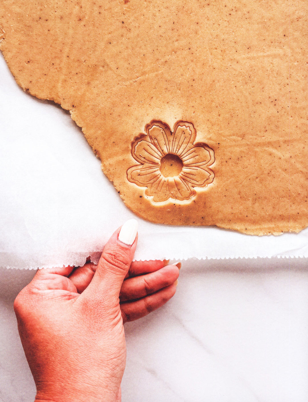 Mes plus beaux biscuits : Chloe Etienne (フランス)