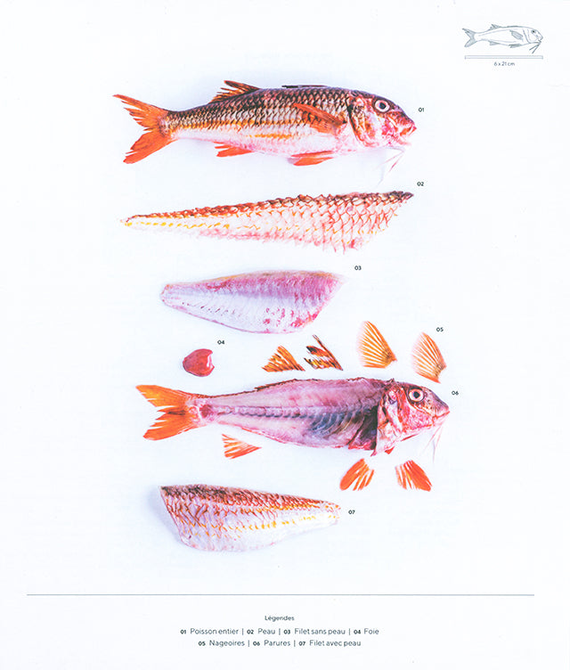 Poissonnerie Lecons en pas a pas : Arnaud Vanhamme (フランス・パリ)