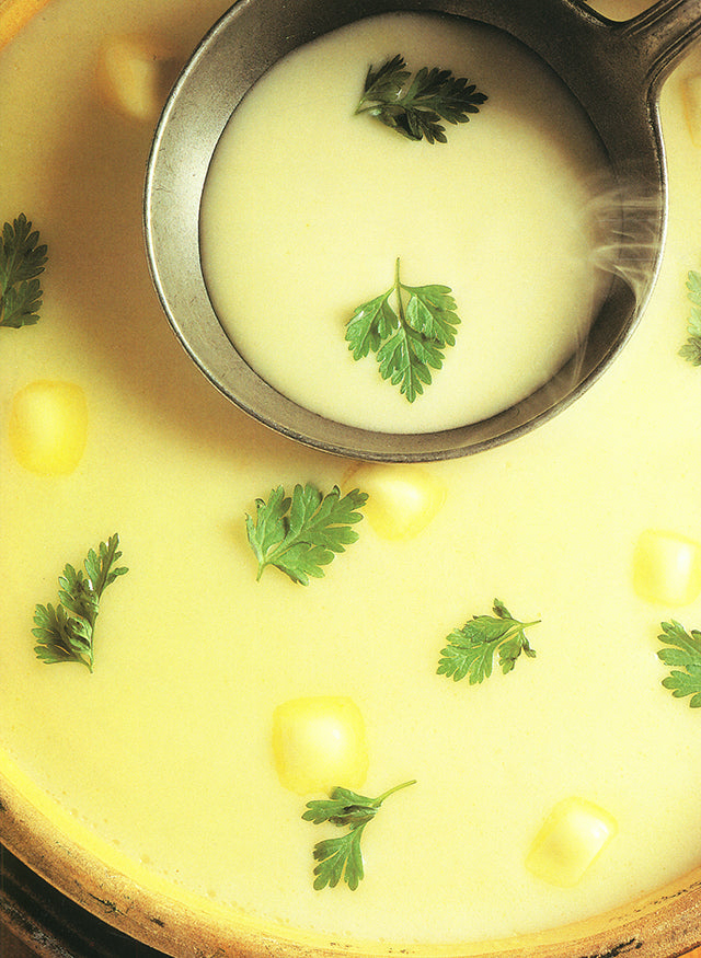 JOEL ROBUCHON　LE MEILLEUR ET LE SIMPLE DE LA POMME DE TERRE (フランス) 絶版 1994年 中古