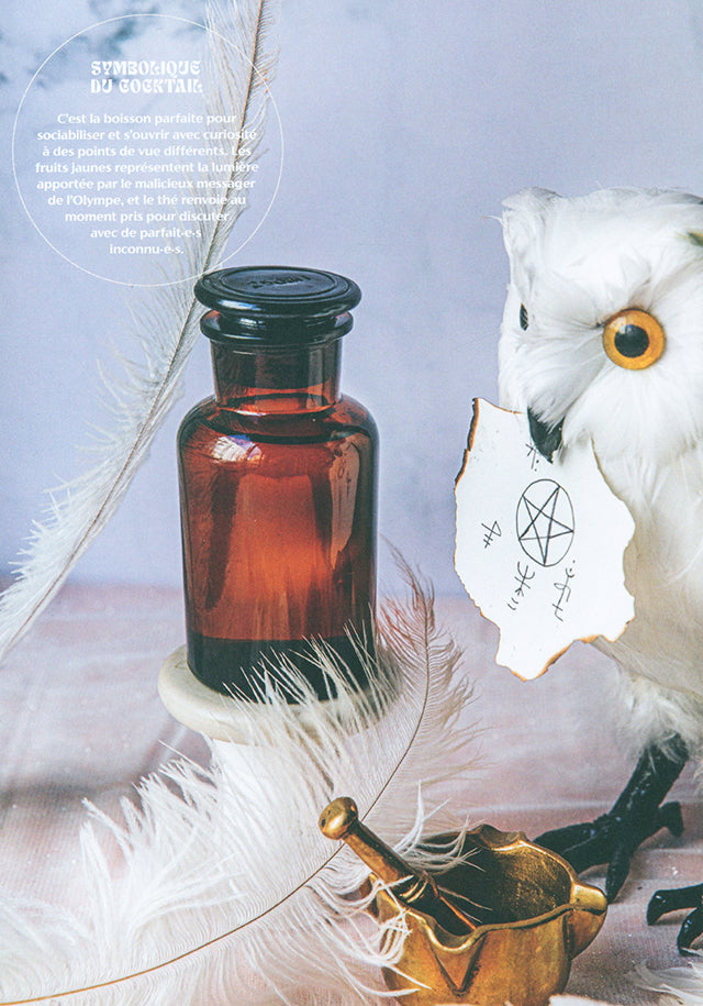 Potions - Infusions, lattes, cocktails... : 60 recettes de boissons magiques (フランス・パリ) 傷みあり