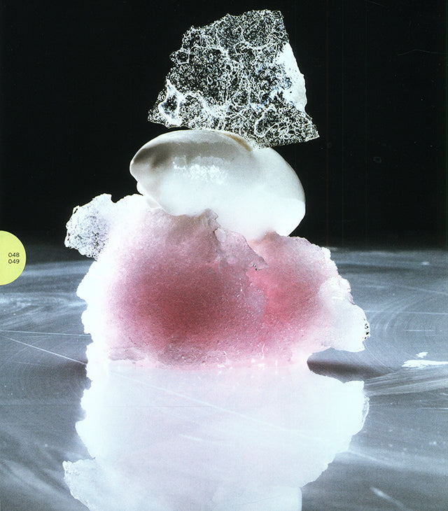 Pastry Revolution 
