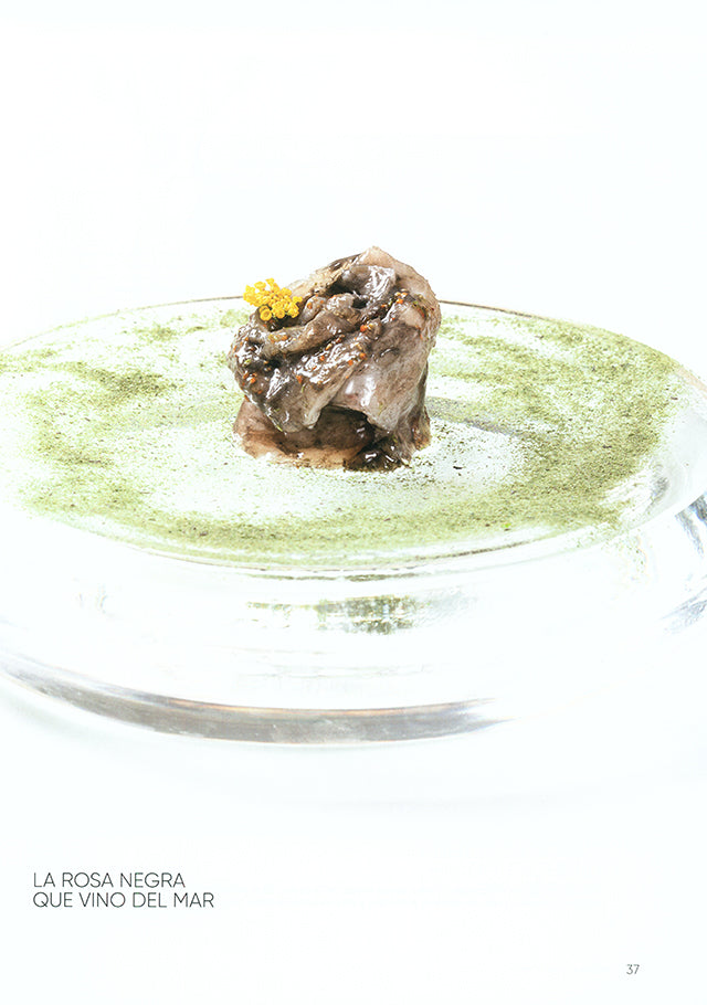 saber y sabor 175