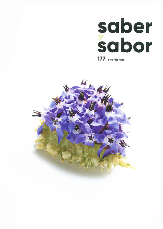 saber y sabor 177