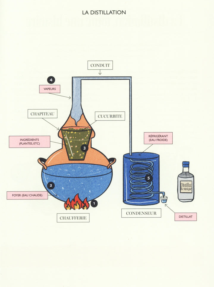 Le Guide du Sans Alcool