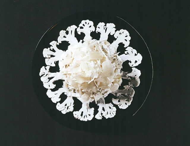 Savor  The Extraordinary Diversity of Black Chefs (アメリカ)
