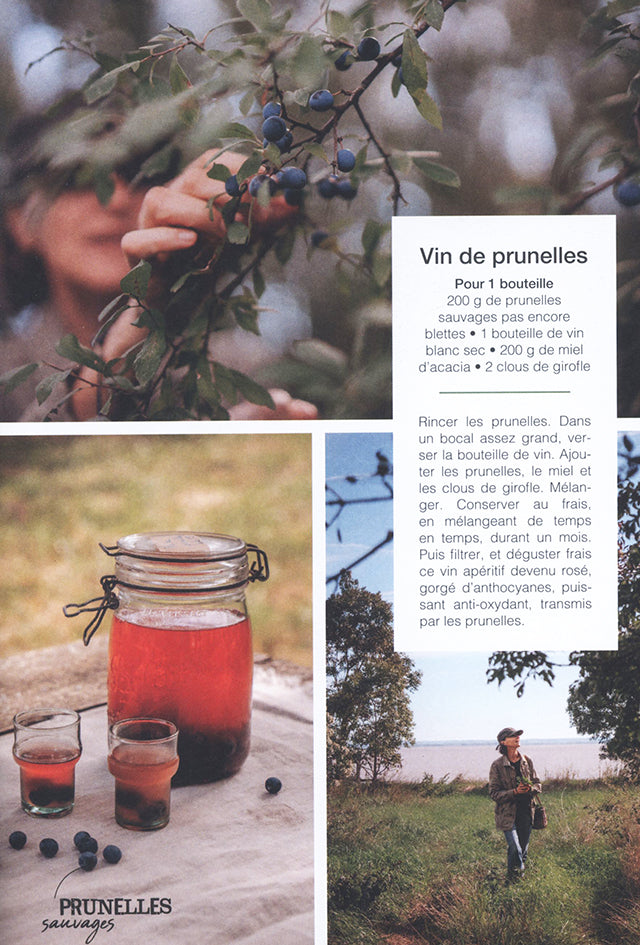 Savourez les plantes sauvages de l’estuaire (フランス・ボルドー)
