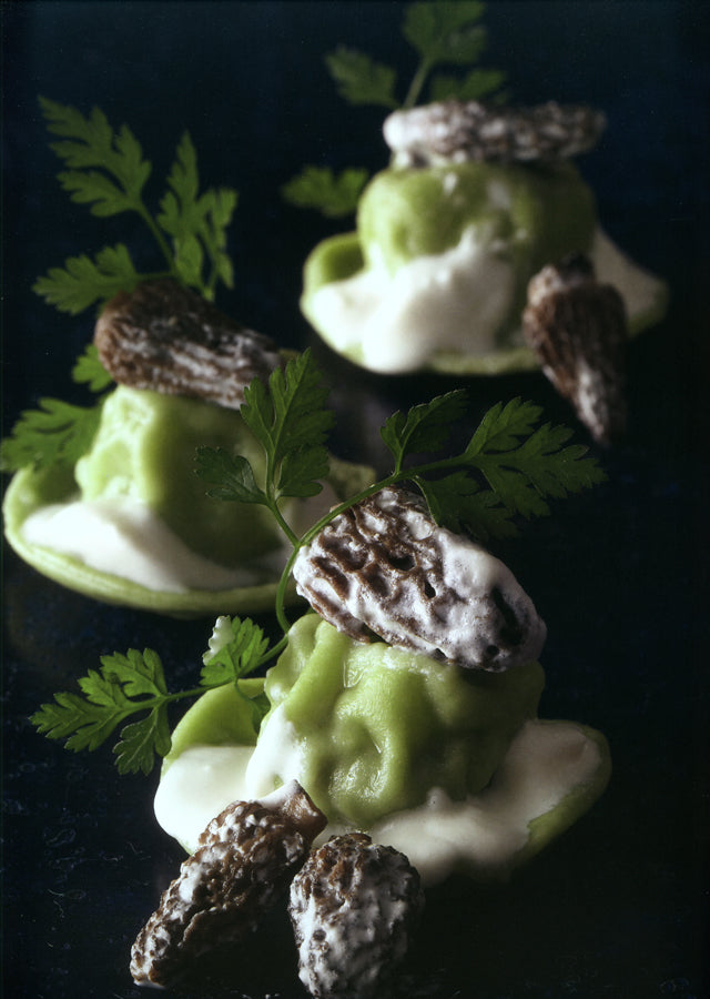 SENSING  par Guy MARTIN  (フランス・パリ) 絶版 中古