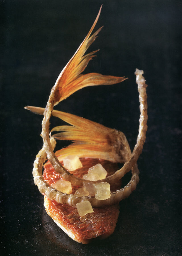 SENSING  par Guy MARTIN  (フランス・パリ) 絶版 中古