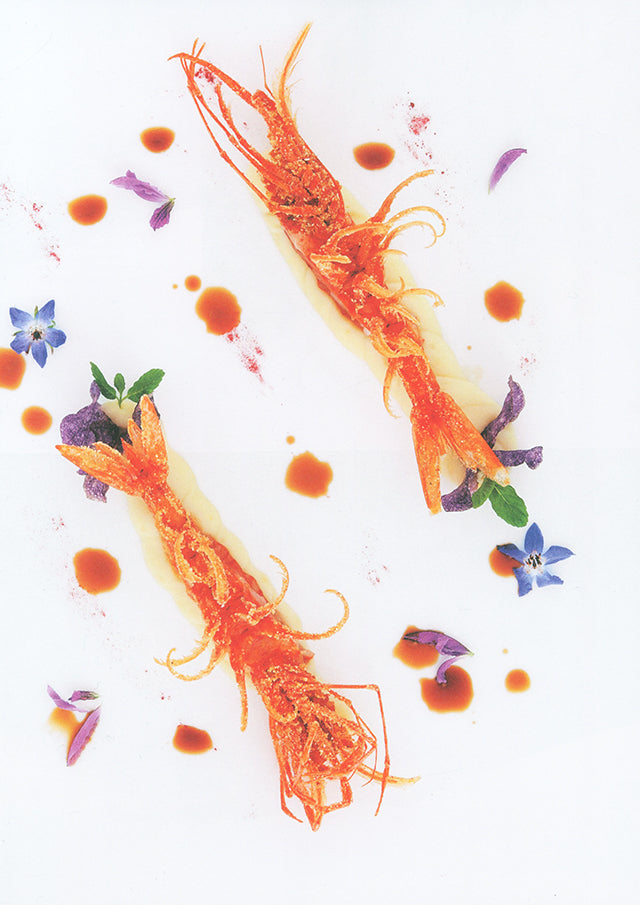 Sicilia. Continente gastronomico (イタリア・シチリア) 傷みあり