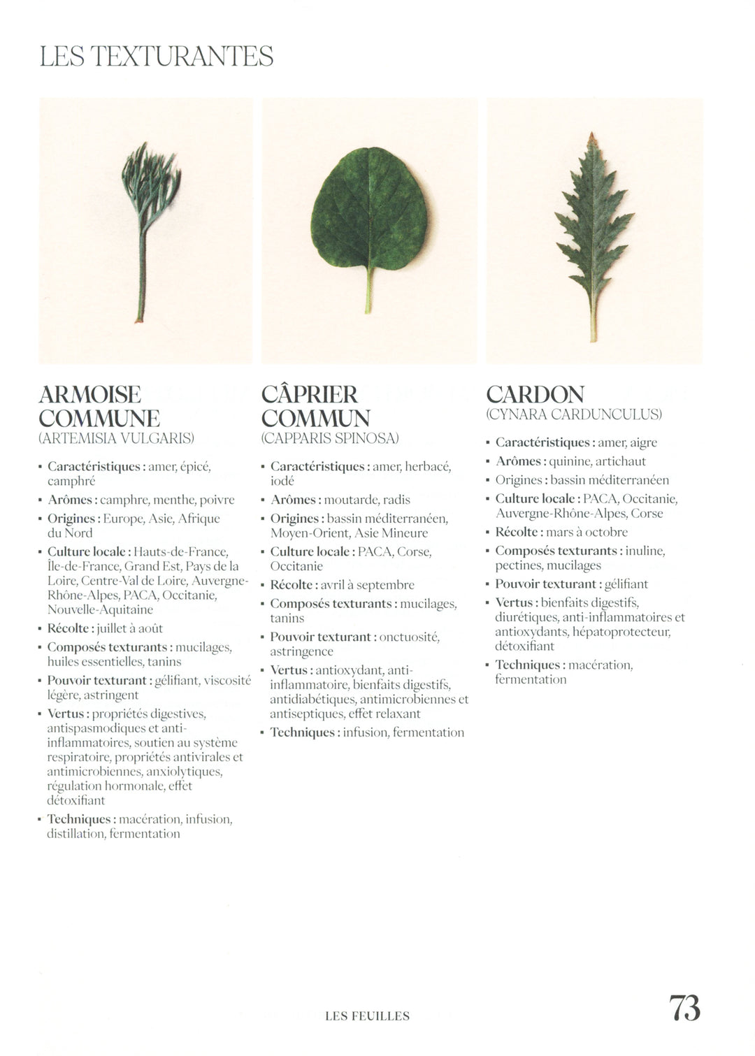 Sobrelier Guide pour faire du jamais bu : Benoit d&