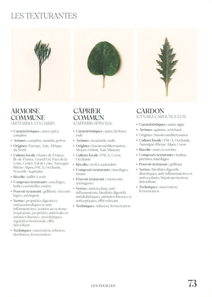 Sobrelier Guide pour faire du jamais bu : Benoit d&