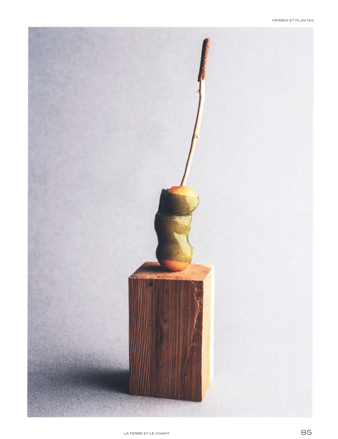 100 creations culinaires inspirees par la terre et le vivant : Jean Sulpice
