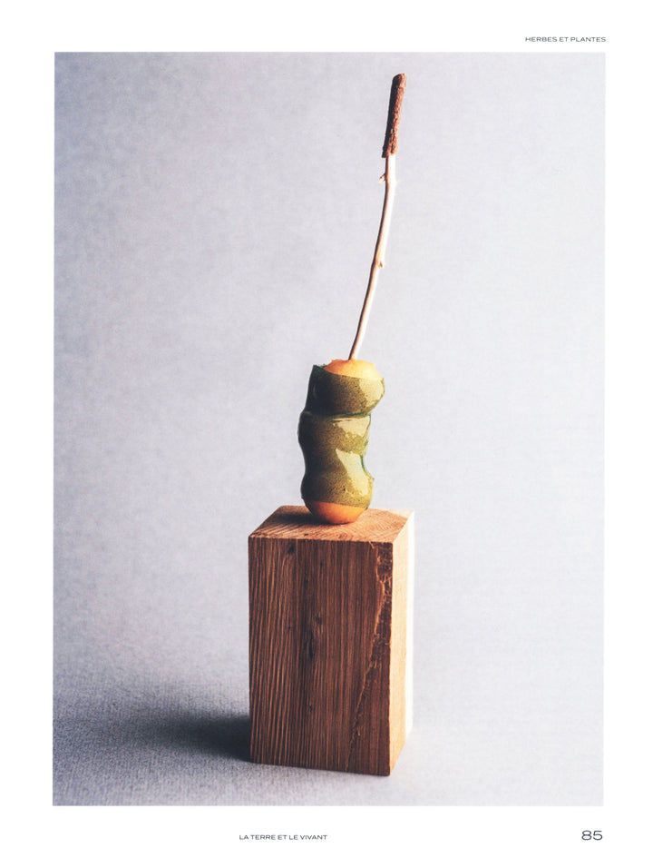 100 creations culinaires inspirees par la terre et le vivant : Jean Sulpice