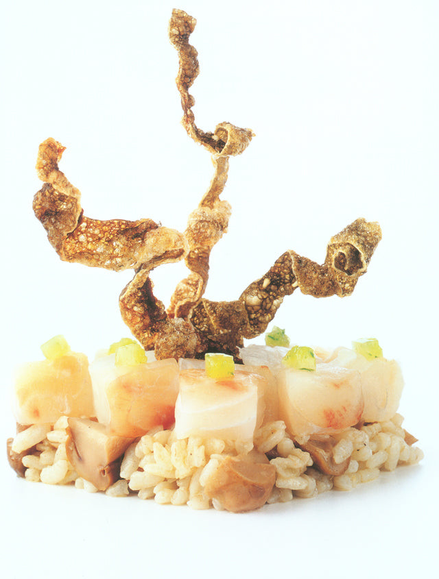 Sushi &amp; Susci  Moreno Cedroni (イタリア・セニガッリア)