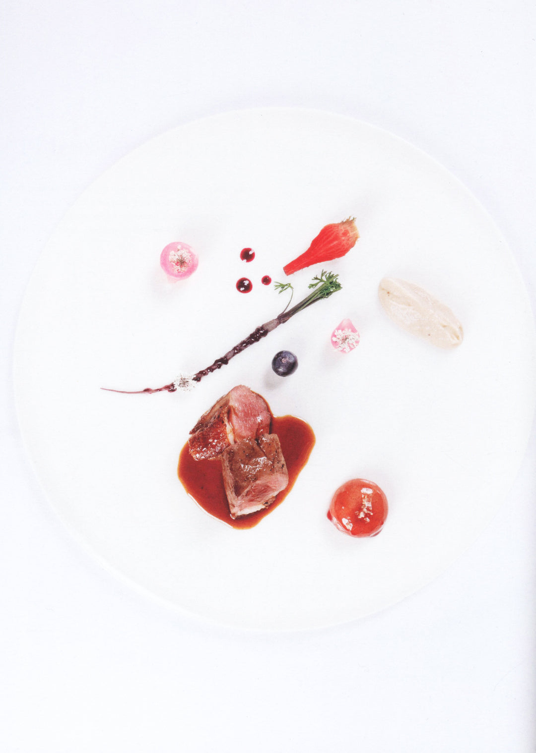 SABER Y SABOR 201