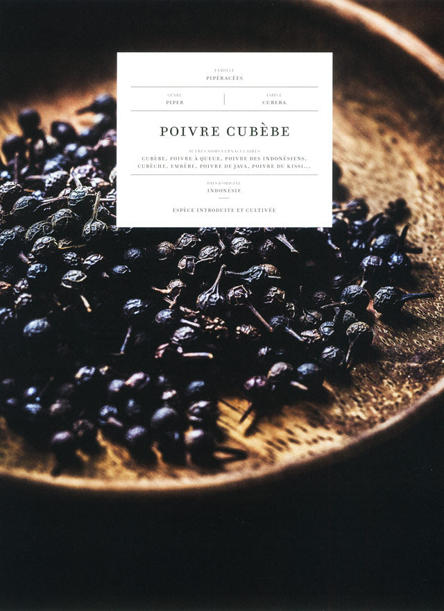 TERRE DE POIVRES (フランス) 新エディション版 傷みあり