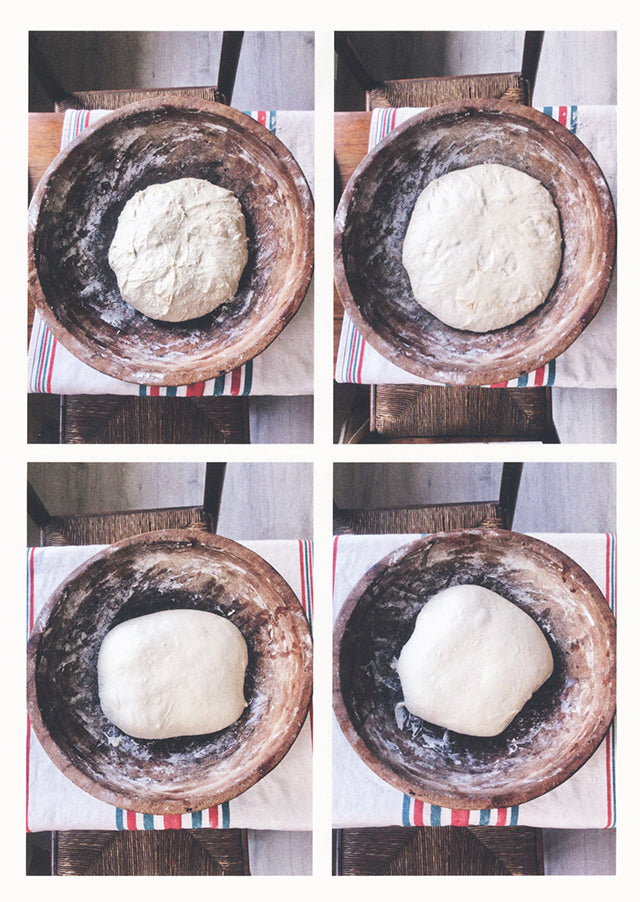 Toastie Pizzette Tartelette 55 Recettes A Partager (フランス)