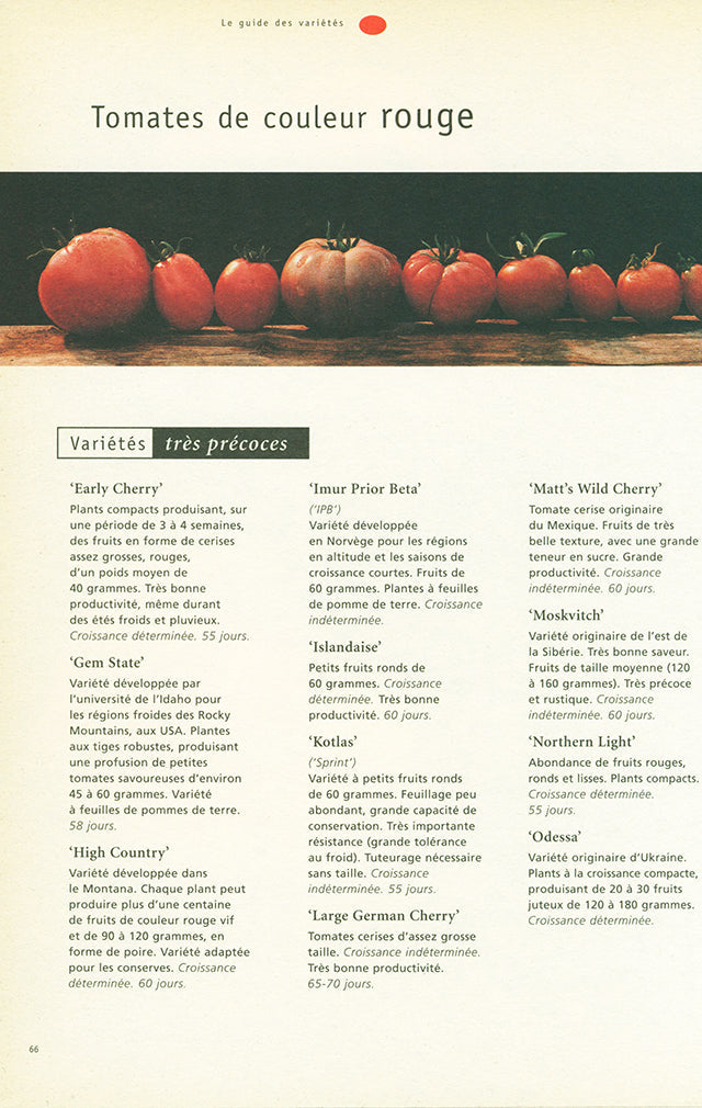 Tomate  Lyndsay et Patrick Mikanowski (フランス) 1999年