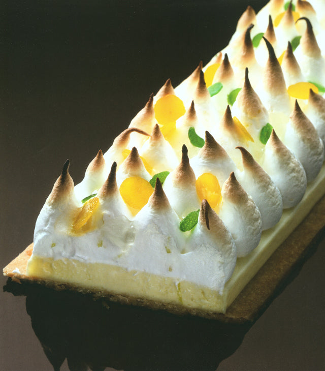 TOUT MICHALAK  (フランス パリ)　絶版　中古