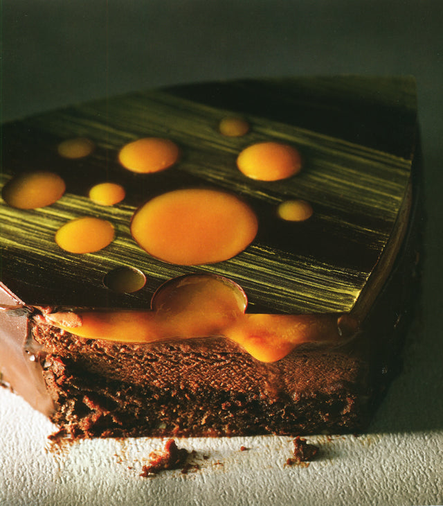 TOUT MICHALAK  (フランス パリ)　絶版　中古