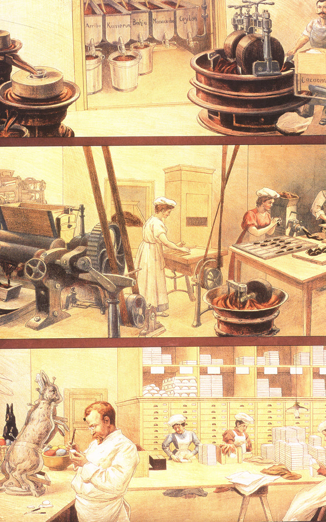 AUX SOURCES DU GRAND CHOCOLAT VALRHONA  (フランス)  絶版　中古