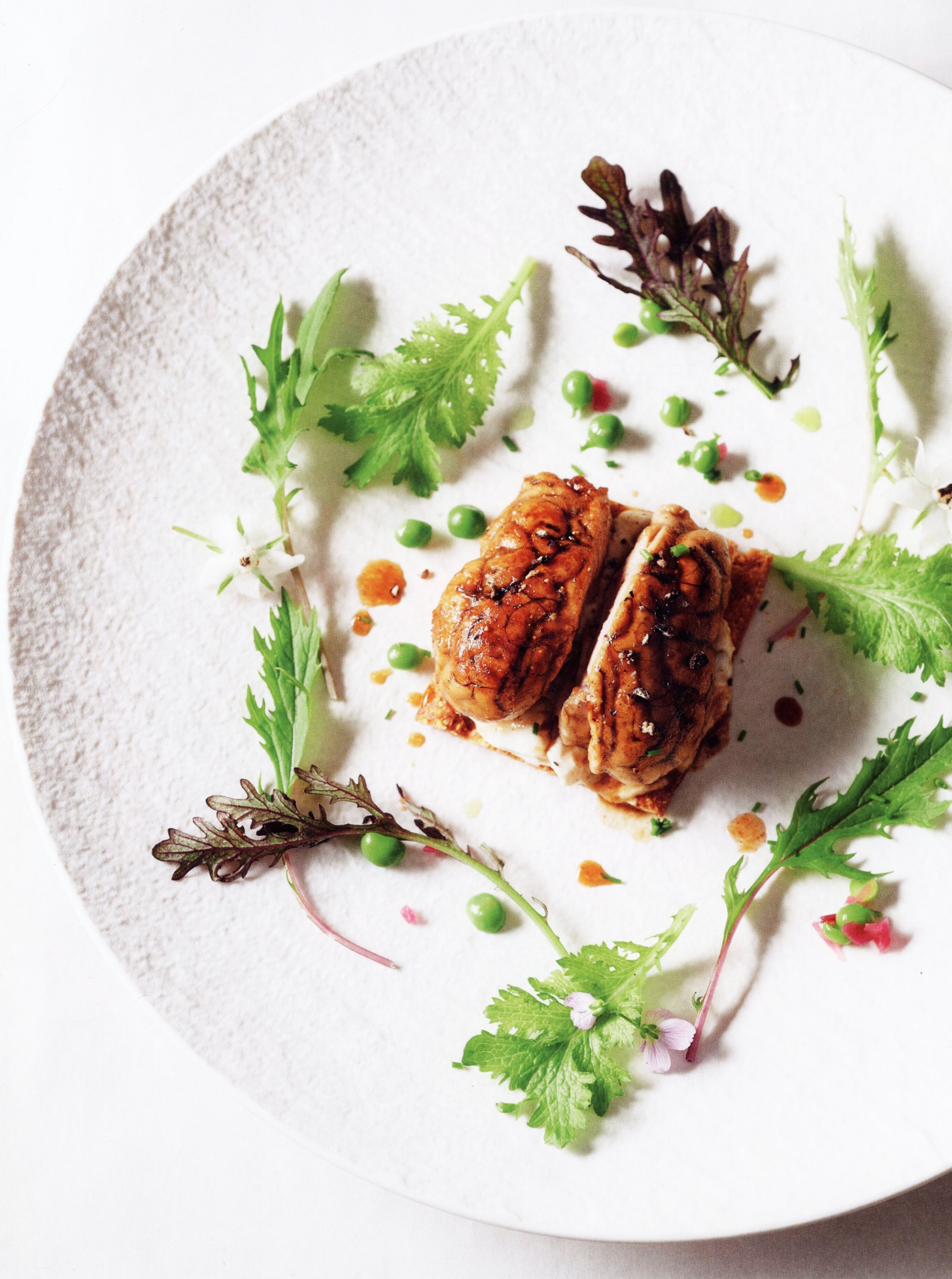 Viandes & volailles : Regis Marcon – CHEF'S LIBRARY