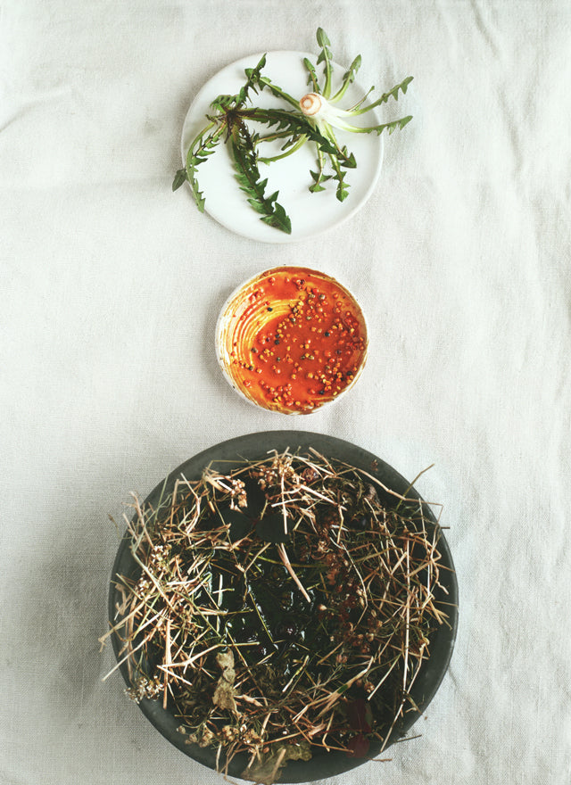 A Work in Progress  RENE REDZEPI   (デンマーク) 絶版