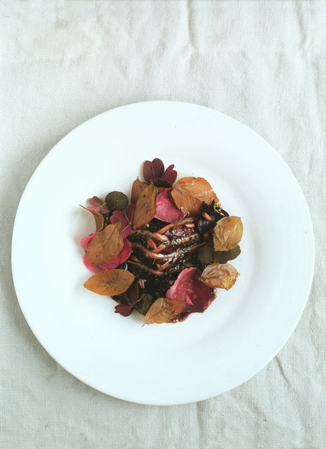 A Work in Progress  RENE REDZEPI   (デンマーク) 絶版