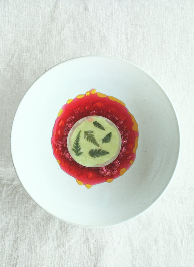 A Work in Progress  RENE REDZEPI   (デンマーク) 絶版