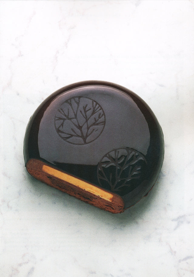 yam. des etoiles plein les yeux # 63