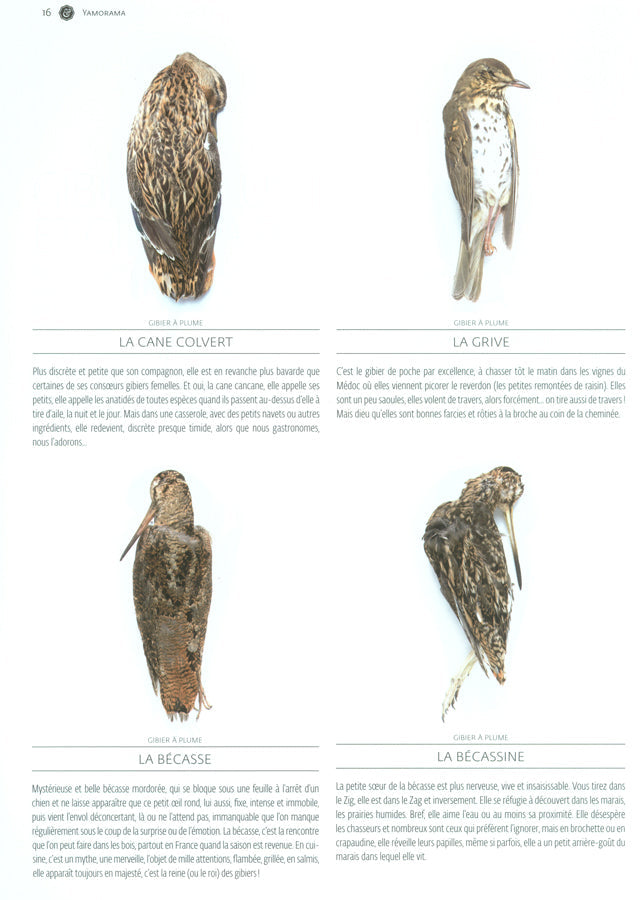 YAM le magazine des chefs  #16　絶版