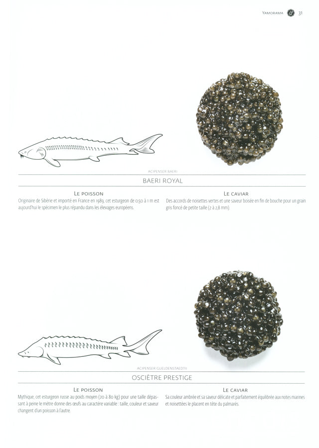 YAM le magazine des chefs  # 22