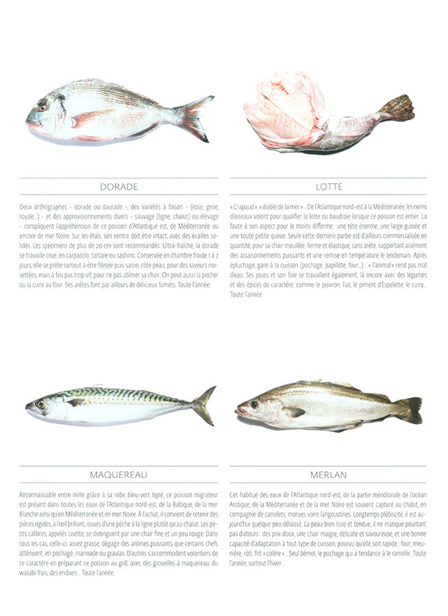 YAM le magazine des chefs  # 39　絶版 中古