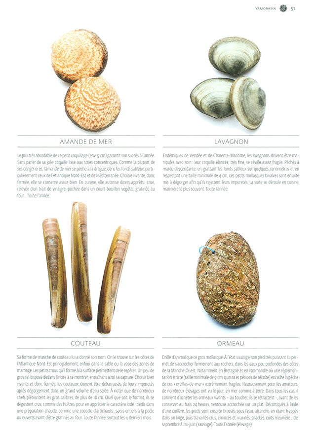 YAM le magazine des chefs  # 41