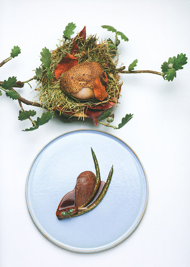 yam. des etoiles plein les yeux # 60