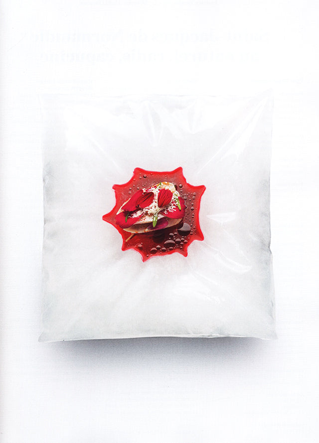 yam. des etoiles plein les yeux # 84